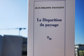 Cover des Buches La disparition du paysage